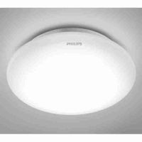 Wall Ceiling Surface Light