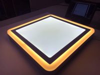 2 Tone Colour LED Ceiling Light For Mood Setting - Image 4