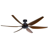Ceiling Fans