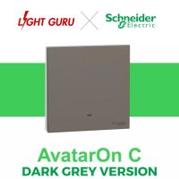 AvatarOn C Switch and Socket - Dark Gray Colour with Dark Space Indicator