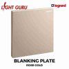 LEGRAND Galion Blanking Plate - Image 5