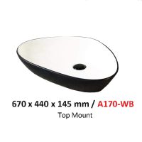 Baron Basin A170-WB Top Mount