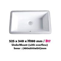 Baron Undermount Basin B17