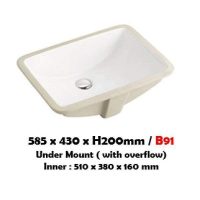 Baron Basin B91