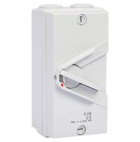 Orange Isolator Switch IP66 2 Pole