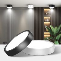 16W 1380Lm Compact Super Bright Ceiling Light