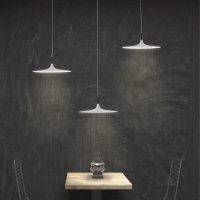 Hanging Light Seabird