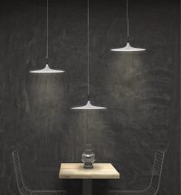 Hanging Light Seabird
