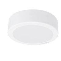 Philips DN027C 18w LED Surface Mount Light