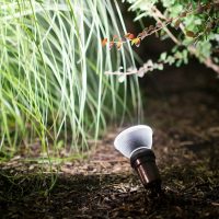 PHILIPS PAR38 10W E27 WARM WHITE LIGHT INDOOR BULB - Image 2