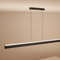 Nego Bi Minimalistic Linear Pendant LD230212