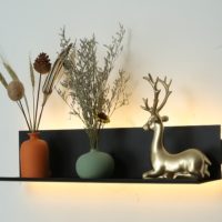 LedShelve B3419 Wall Light